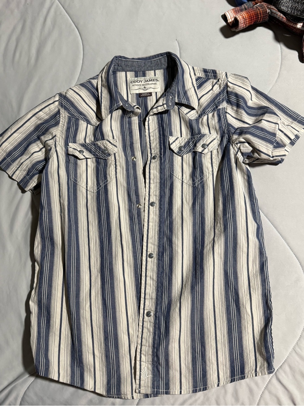 Cody James Boys Blue and White Striped Button-Down Shirt